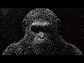 Download Lagu Dark Minimal Techno Trip Live Radio 24/7 Dark Monkey Music