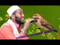 RAYYA ABBA MANCA