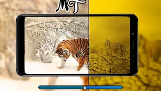 Creative Image Comparison Slider Html CSS Vanilla Javascript
