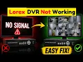 Lorex DVR Showing NO SIGNAL Do This First 100 Working Fix Step-by-Step
