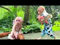 Download Lagu So Cute! Super Monkey Bibi Cares for Baby LaLa \u0026 Harvests Sweet Potatoes 🍠🐵
