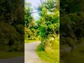 Download Lagu #video #viralsong saans #song #music #viral
