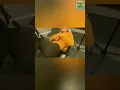 Download Lagu Epic Fart During Chiropractic Session! 😂💨#fart#funny #viral#chiropractor