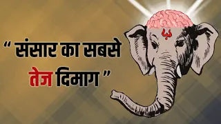 Sabhi Devtaon me Ganesh Ji sabse Intelligent kyu hai | संसार का सबसे शक्तिशाली दिमाग | Ganesh Ji ||