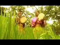 Download Lagu SAKECO MUDA MUDI   YAYAN DAN SARI LAGU DAERAH SUMBAWA