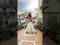 Rajasthani Dance | Toote Bajuband | Ila Arun | DancingAdah