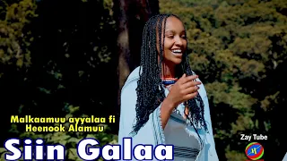 Malkaamuu Ayyalaa Fi Heenook Alamuu Siin Galaa New Oromo Cultural Music Official Video 