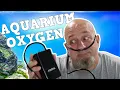 Are Aquarium Air Pumps Oxygen Tanks Fish Tank Bubbles Do You Need Them