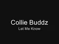 Collie buddz - Let Me Know with lyrics