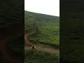 Download Lagu jalan Berkelok dan indah di perkebunan teh taraju Tasikmalaya Jawa barat ❤️ #nostalgia #viralvideo