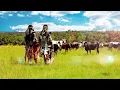 Inkabi Zezwe ft Sjava & Big Zulu - Omunye  [Official Visualiser]