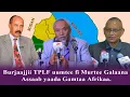 Lagu Odeeffannoo Addaa Burjaajjii TPLF fi lola Shaabiyaan Itiyoophiyaa waliin taasisuuf deemtuu irratti.