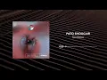 Pato Shoucair - Soulstice (Official Audio)