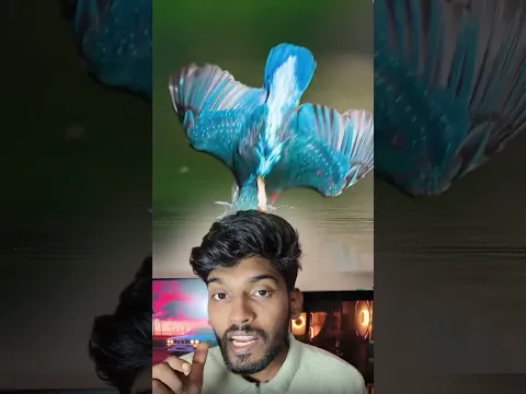 🤯 Kingfisher- கு இப்படி ஒரு சோதனையா 😱 #shorts