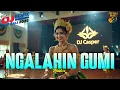 Lagu NGALAHIN GUMI - METAFORA VERSI DJ REMIX || DJ BALI TERBARU 2025 || KUMPULAN LAGU BALI