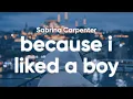 Download Lagu Sabrina Carpenter - because i liked a boy (Clean - Lyrics)