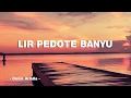 Download Lagu LIR PEDOTE BANYU | Denik Armila | Lagu Banyuwangi | Vidio Lirik