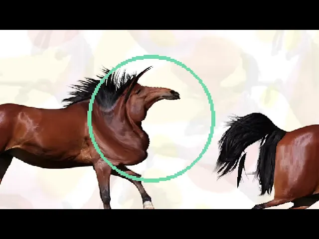 Horse Magnifier: The Full Horse - Release Date Trailer