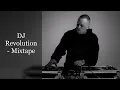 Download Lagu DJ Revolution - Mixtape (feat. KRS-One, Large Pro, Sean Price, Illa Ghee, BCC, Guru, Buckwild...)