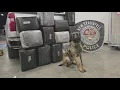 Man busted in New Braunfels with 300 pounds of marijuana
