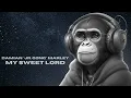 Damian "Jr. Gong" Marley - My Sweet Lord