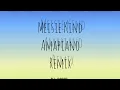 Download Lagu Meisie Kind AmaNama Remix By DJ Conie 2022