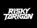 Download Lagu RISKY TARIGAN