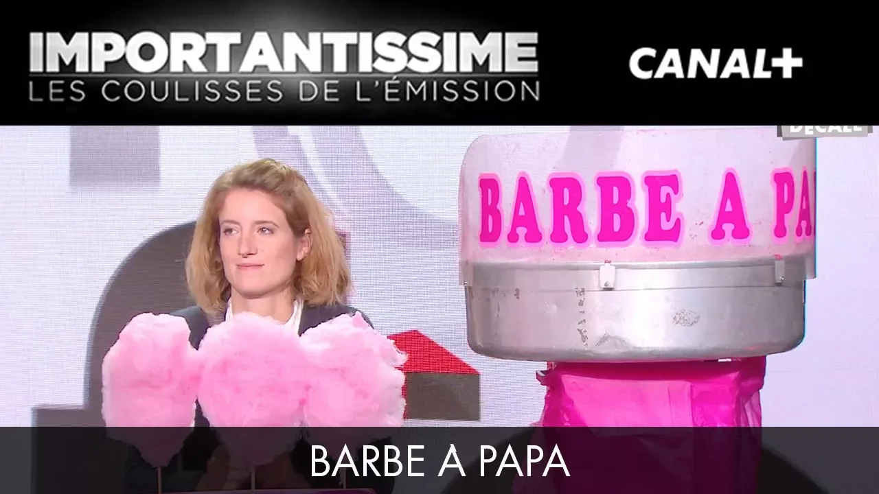 Barbapapa -Importantissime #35