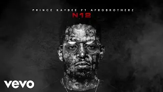 prince kaybee n12 visualizer ft afro brotherz
