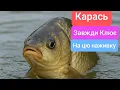 Download Lagu Херабуна або червоний черв'як?! БАТЛ! З Цією приманкою ти завжди будеш ловити рибу!