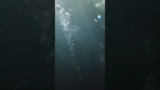 شوف راضي عمل إيه في يونس العارف Shorts 