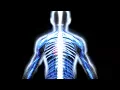 Download Naked Science - Lightning mp4 3gp mp3 videos - waplic