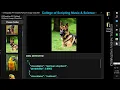 Python PySide6 PyTorch Image Classifier
