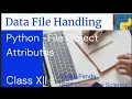 Data Handling Python - File Object Attributes Class XII Computer Science