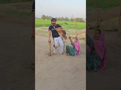 Jai gau Mata Jai shree Krishna 🙏🙏 #like #trending #new #top #shere #shorts #viral #subscribe #foryou