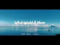 Download Lagu DJ SLOW !!! Rawi Beat -  What Would It Mean - ( SLOW REMIX )