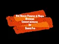 Hot House Flowers and Moya Brennan by Danni Fro