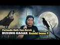 Download Lagu Pertanda Burung Gagak Bunyi Tengah Malam Di Sekitar Pekarangan Rumah