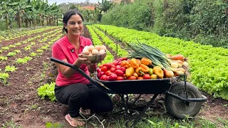 Fazendo uma única receita com tudo o que colhi em um dia na roça