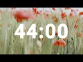 44 Minute Timer with Soothing Music Stress Relief Countdown Clock