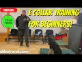 How to Train your Dog - The E Collar Training Guide For Beginners