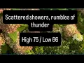 Sunday August 16 Forecast