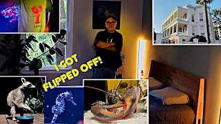 An Update On The Things That Have Been Happening Here...