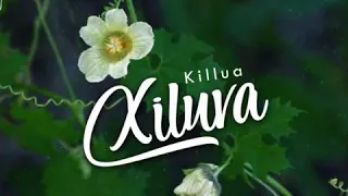killua xiluva