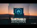 Don Diablo - You Can't Change Me [VIP Mix]