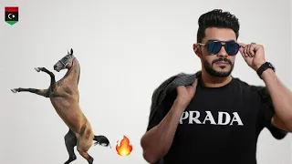 الفنان ايمن الدرسي كسابه الخيل اغنية جديد New Libyan Song 2025  الفنان ايمن الدرسي كسابه الخيل اغنية جديد New Libyan Song 2025