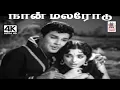 Download Lagu Naan Malarodu T.M.சௌந்தர்ராஜன் P.சுசிலா பாடிய பாடல் நான் மலரோடு தனியாக