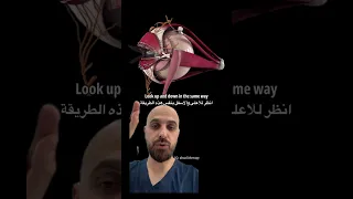 تمارين تقوية عضلات العين 