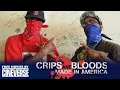 Crips And Bloods Made In America Full Crime Documentary Free Movies By Cineverse