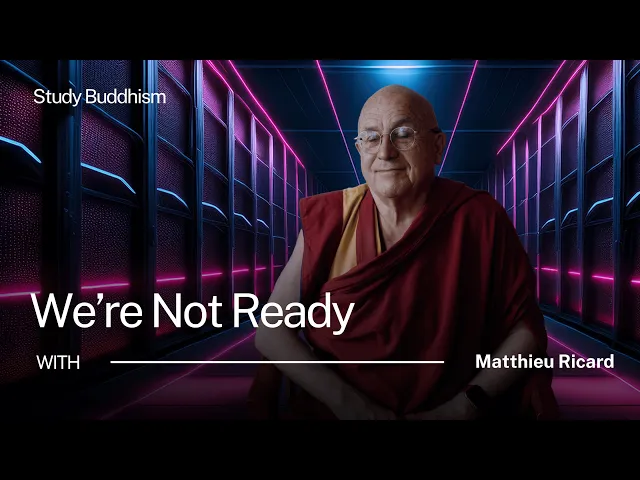 The Real Risk of Artificial Intelligence | Matthieu Ricard